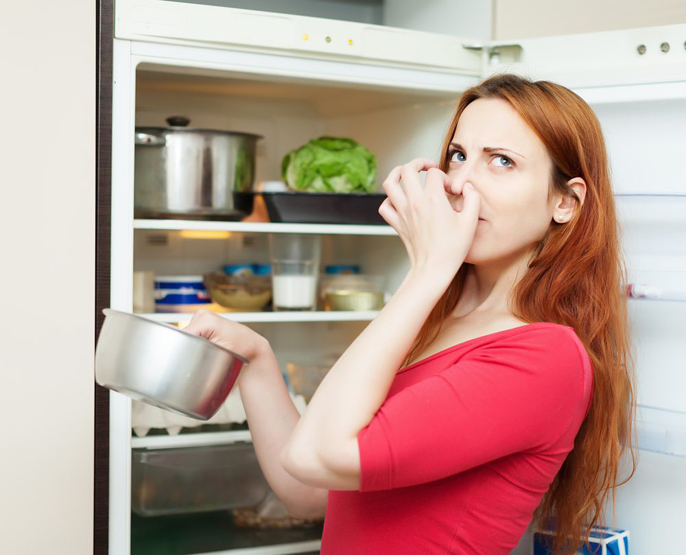 How To Clean Your Refrigerator